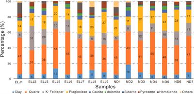 Geochemistry and Petrography of the Sediments From the Marginal Areas of Qinghai Lake, Northern Tibet Plateau, China: Implications for Weathering and Provenance